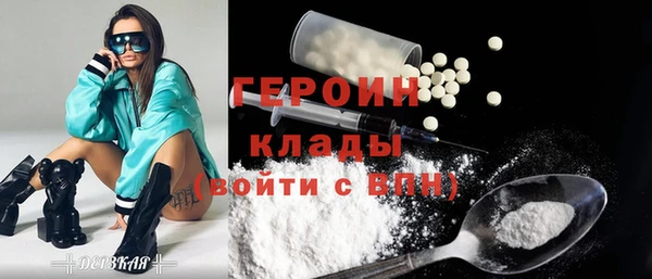 индика Елизово