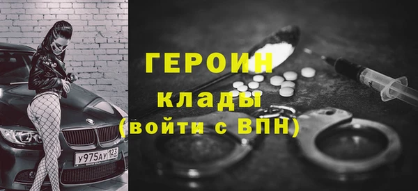 индика Елизово