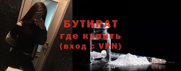 индика Елизово