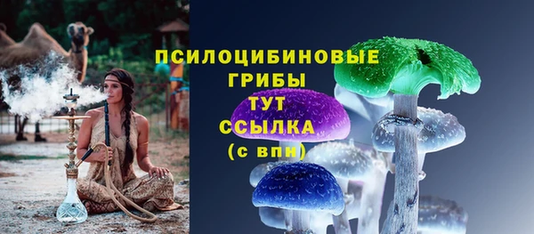 индика Елизово