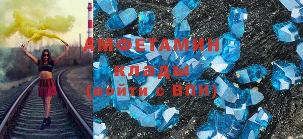 индика Елизово