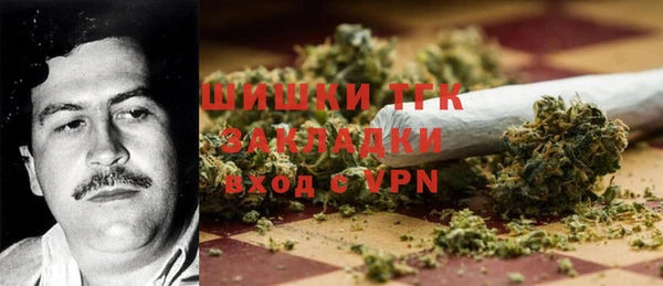 индика Елизово
