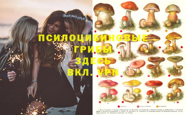 круглые Елабуга