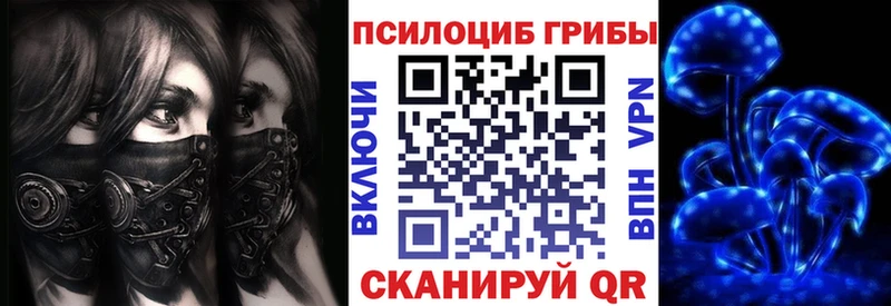 Псилоцибиновые грибы Psilocybine cubensis  Ессентуки 